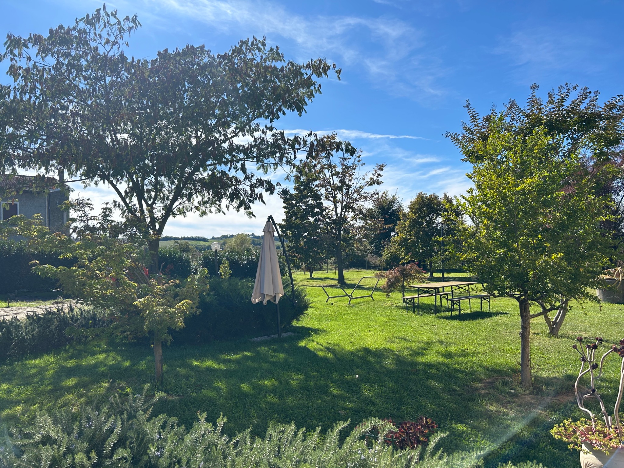 A real country garden in Monferrato