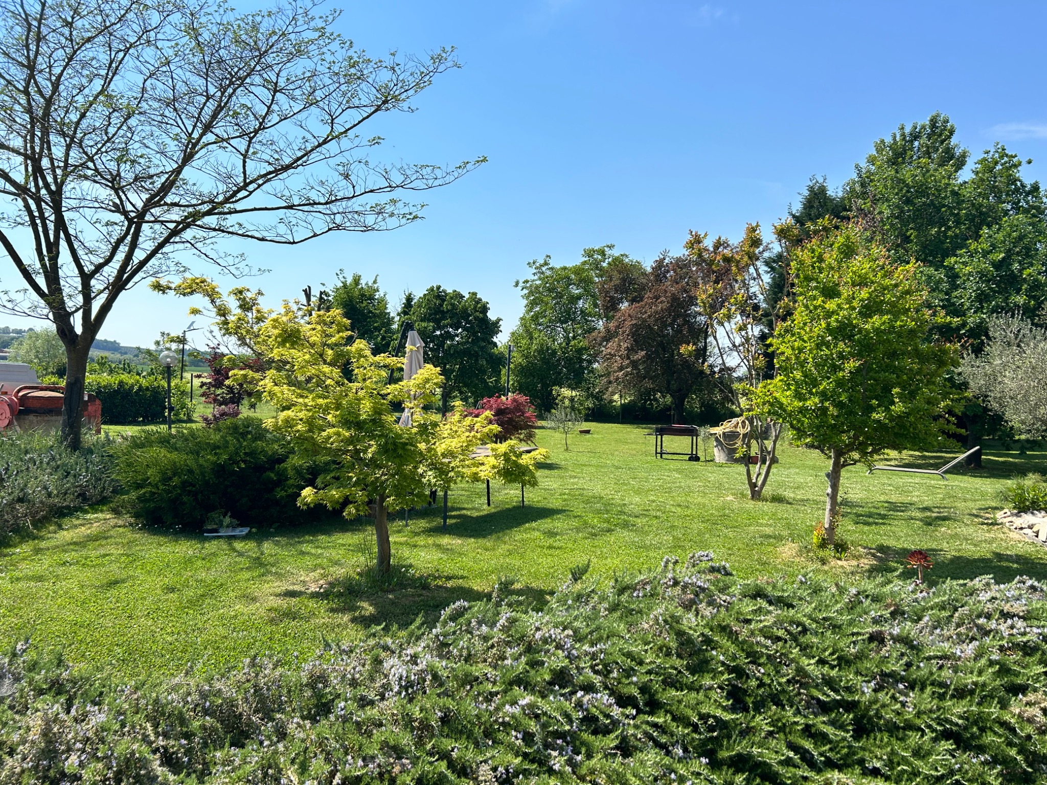 A bright summer garden in Monferrato